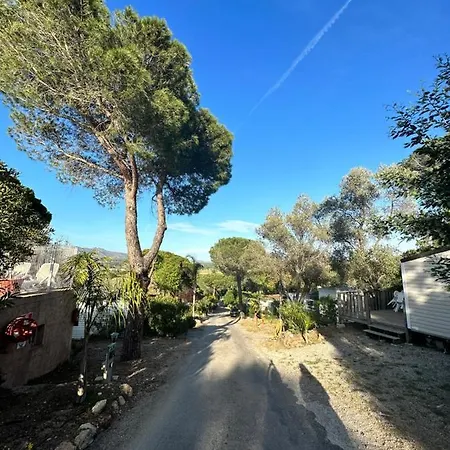Campsite Mobile Home, Le Dattier, Frejus, South Of France