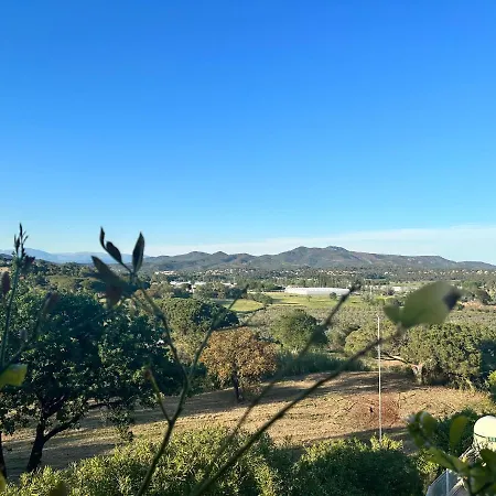 Mobile Home, Le Dattier, Frejus, South Of France Frejus